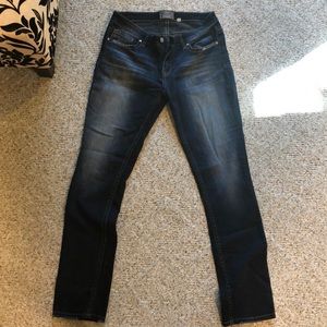 BKE Denim Dayton Straight Jeans